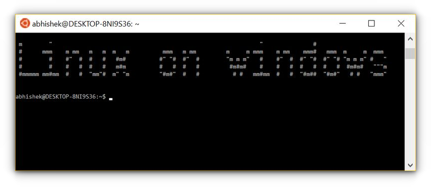 checking the working of bash shell in windows