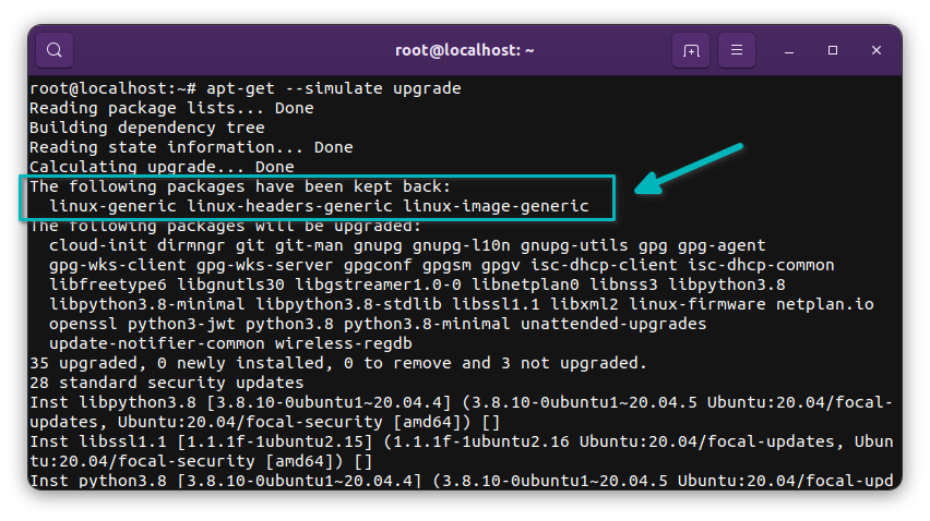 apt-get upgrade doesn't upgrade the kernel version