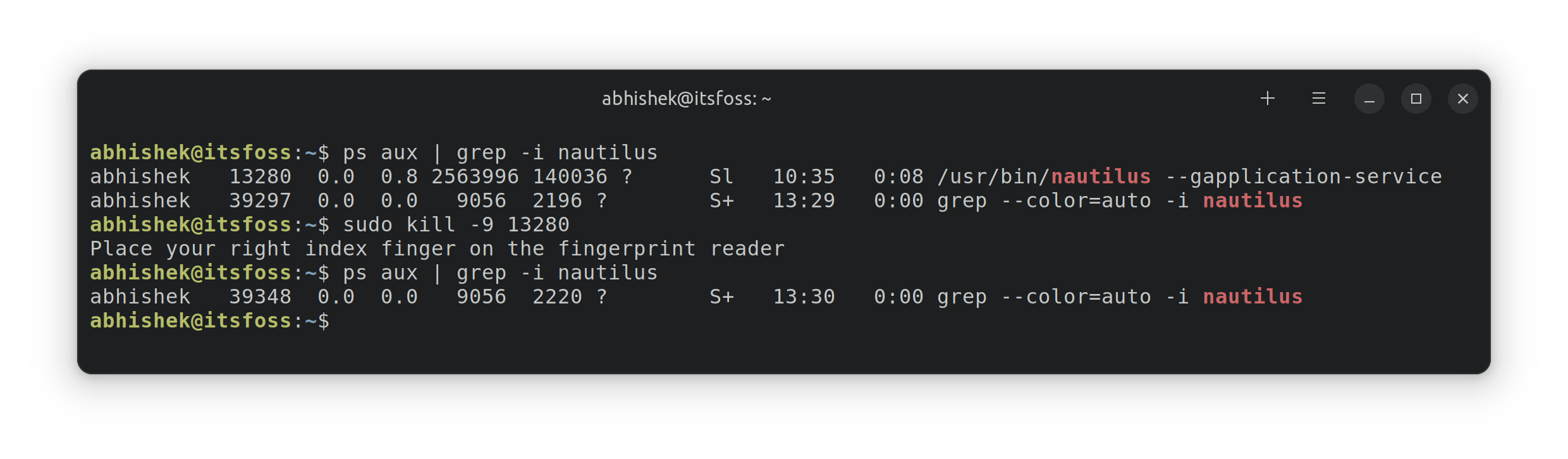 Killing process in Linux command line