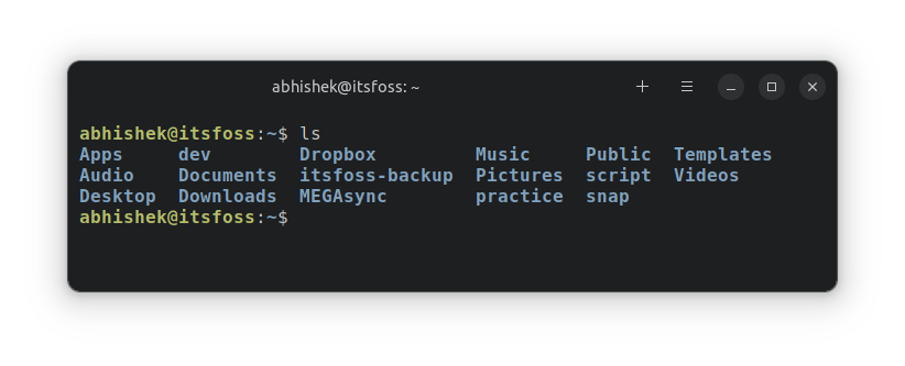 ls command output