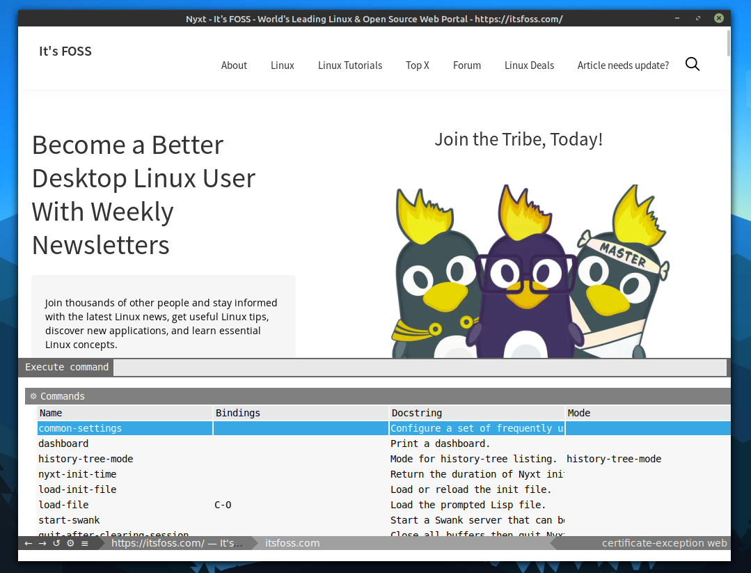 nyxt browser