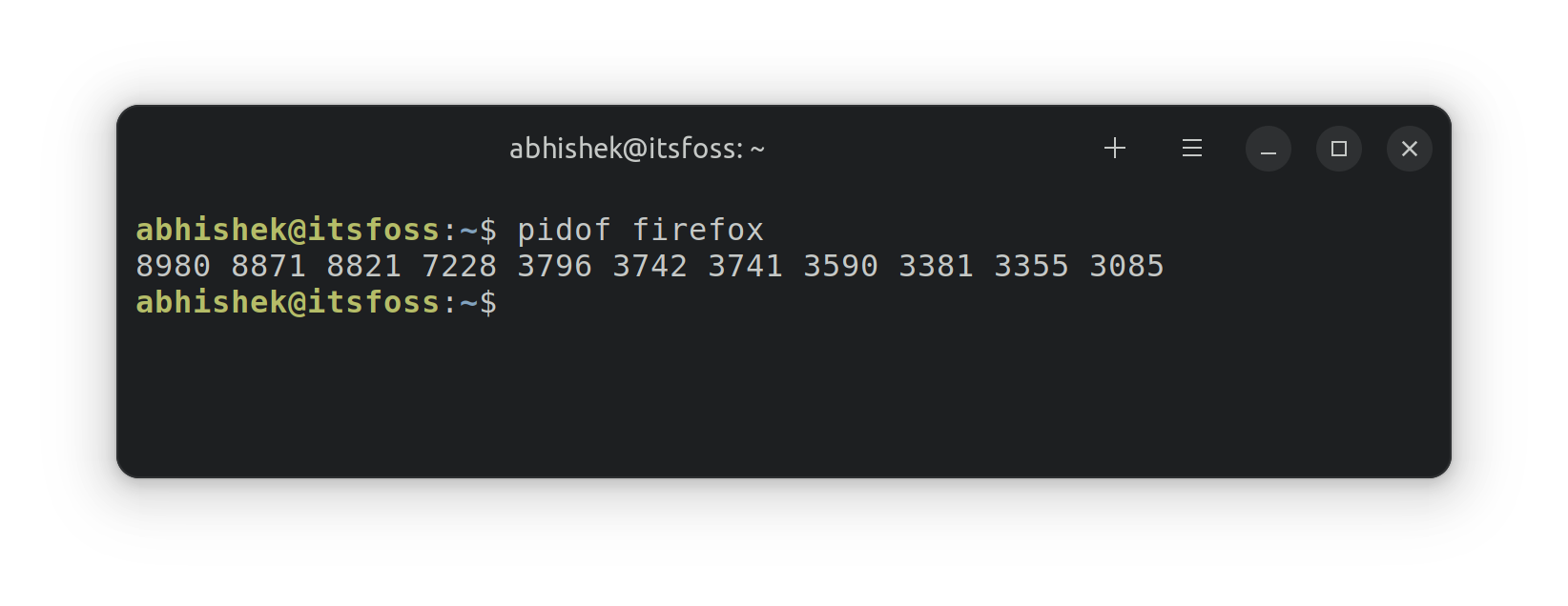 Finding process ID of a program