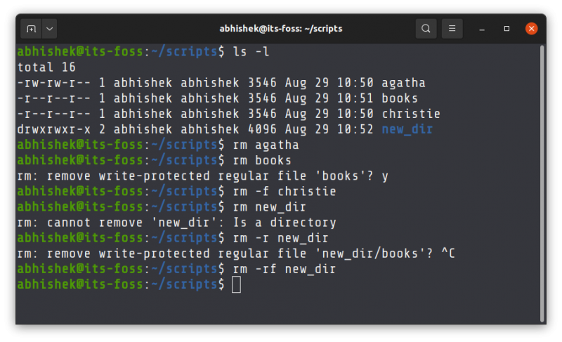 Example explaining rm command
