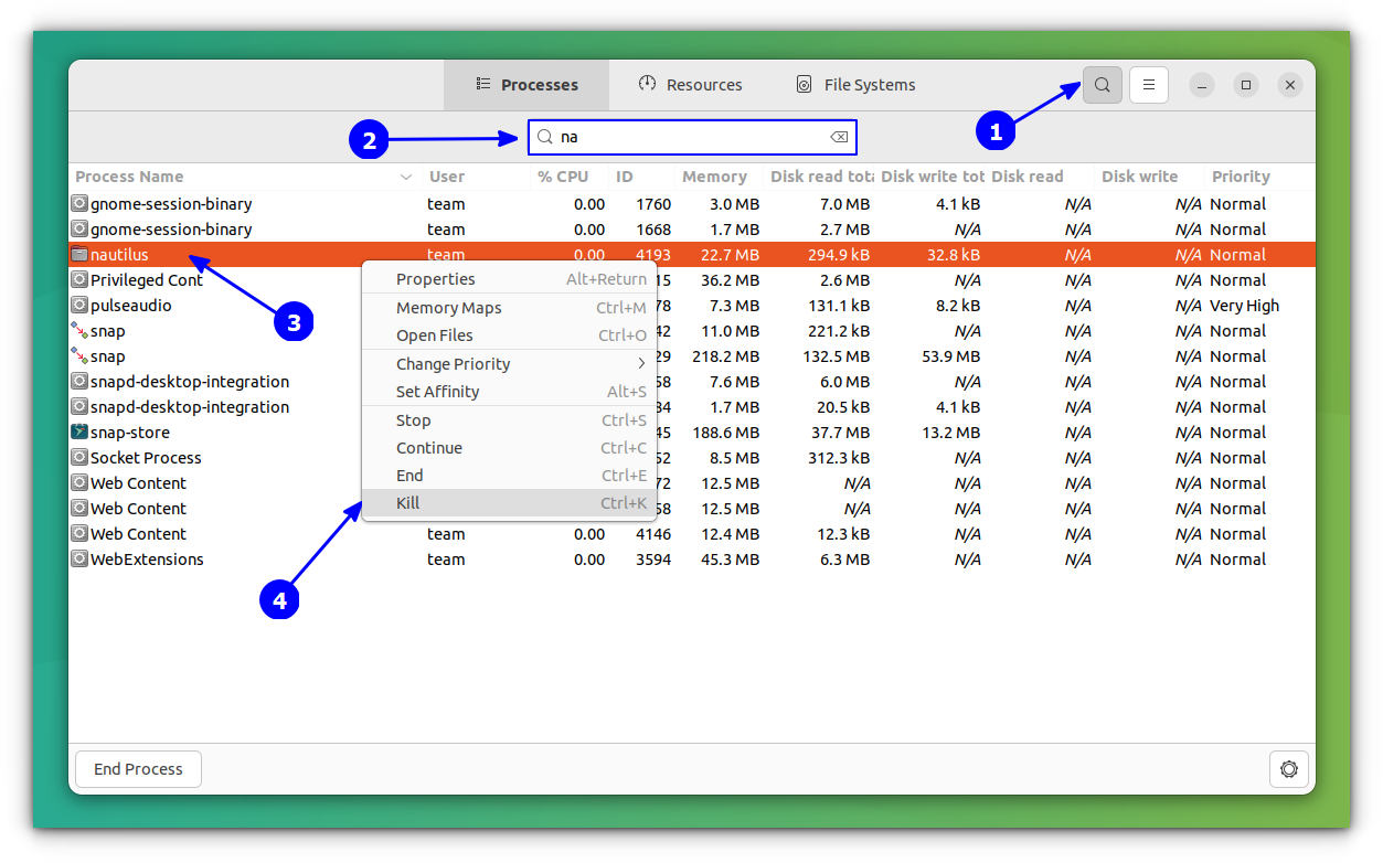 Search and kill a process using GNOME system monitor
