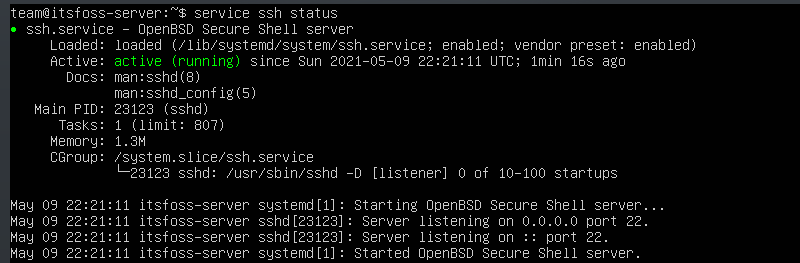 Checking ssh service status
