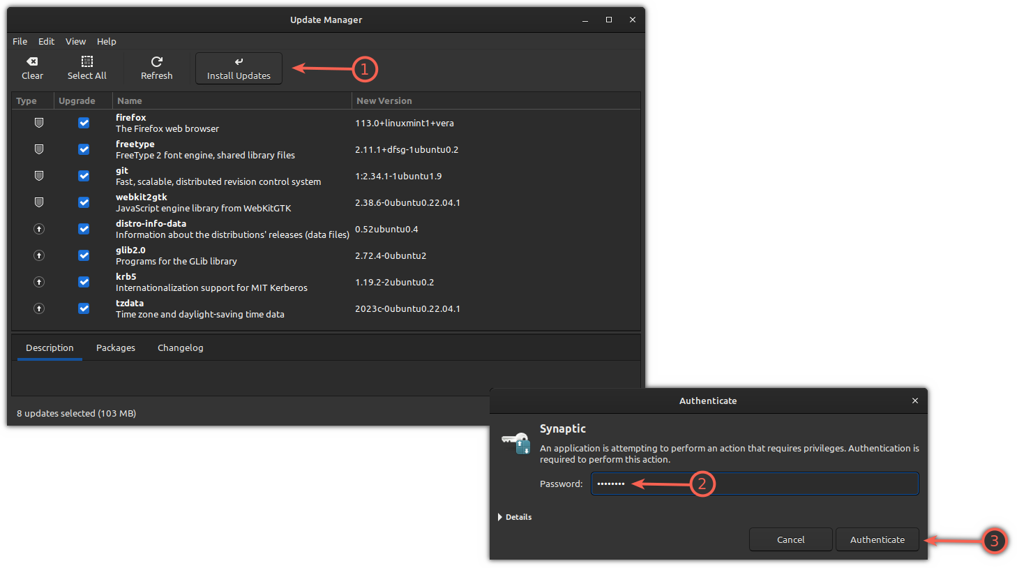 Update Linux Mint using Update Manager